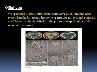Epitype
A specimen or illustration selected to serve as an interpretative
type when the holotype , lectotype or neotype (all original materials
can’t be critically identified for the purpose of application of the
name of the taxon.)
 