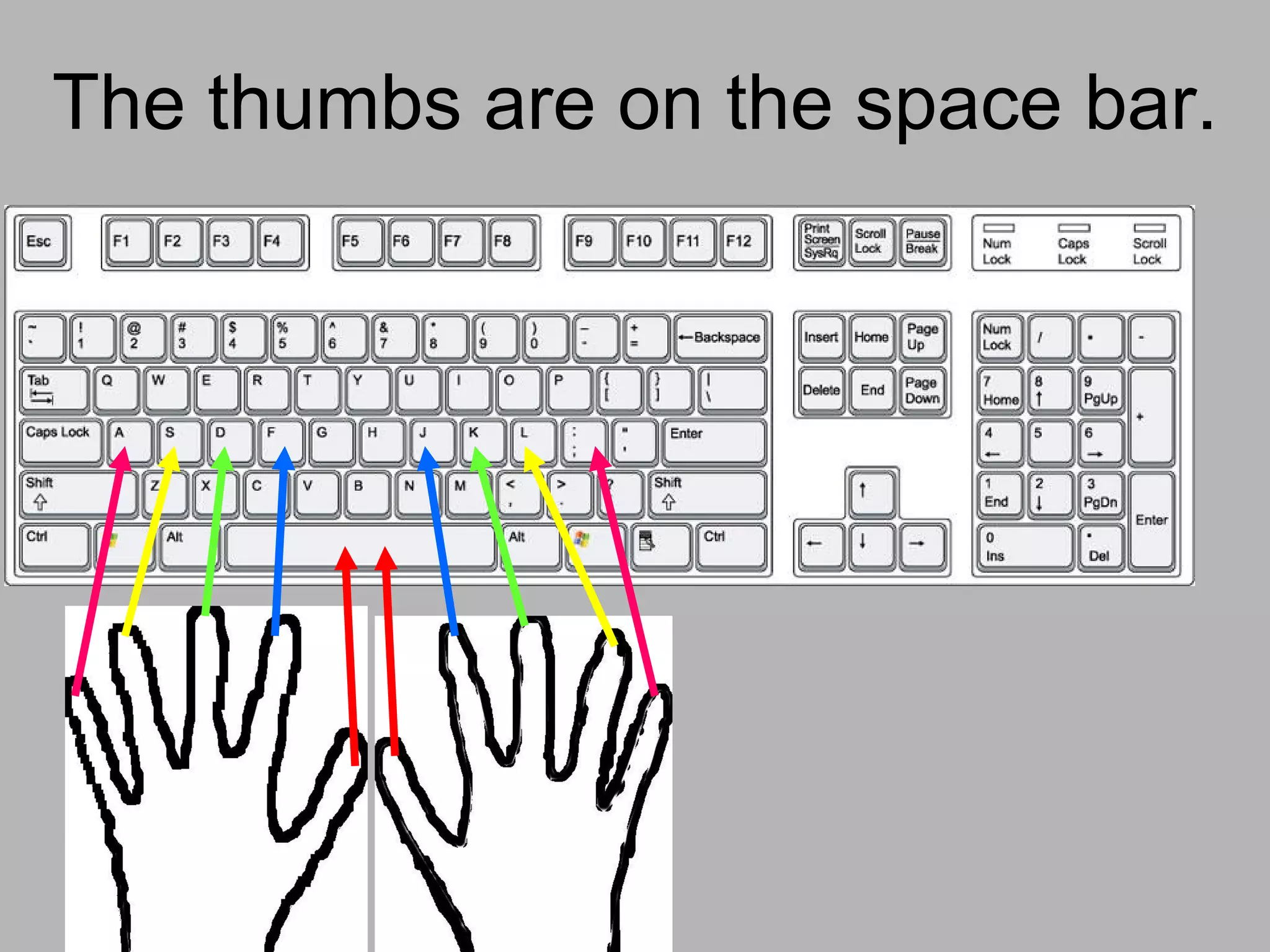 The thumbs are on the space bar.