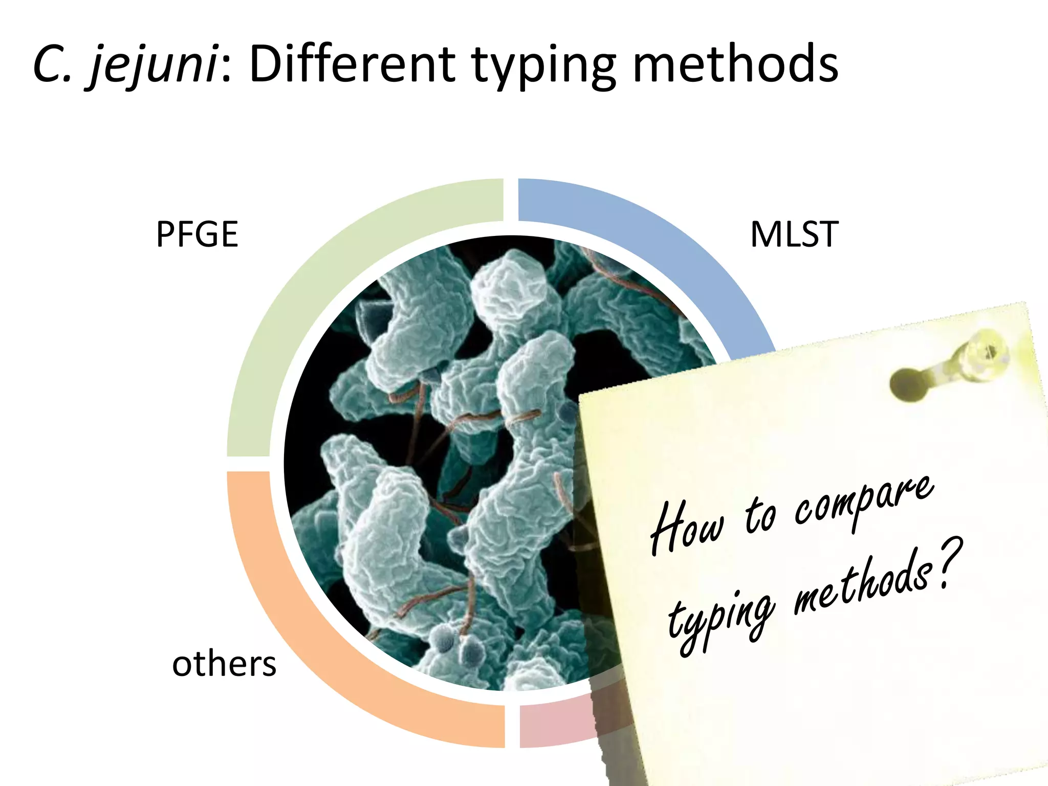 PFGE MLST
flaAothers
C. jejuni: Different typing methods
 