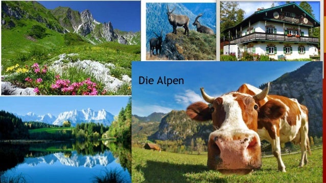 Download eBook pdf epub tuebl mobi