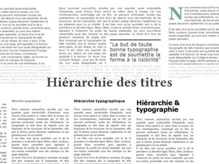 Hiérarchie des titres 
 