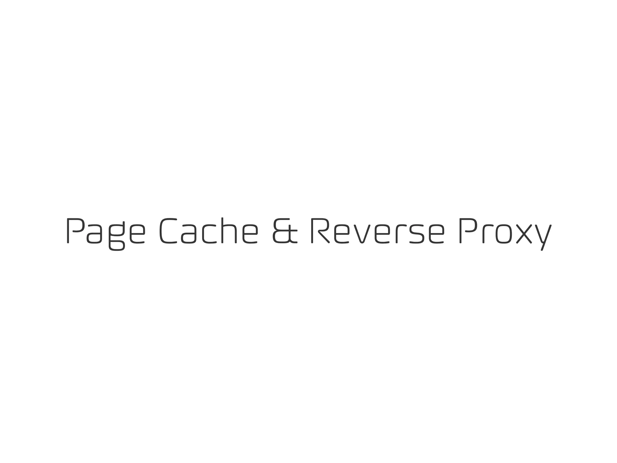 Page Cache & Reverse Proxy
 