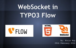 WebSocket in
TYPO3 Flow
WebSocket
By: Ninja Bug
28th February 2014

 