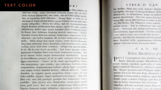 TEXT COLOR
 