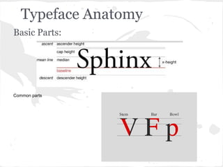 Typeface Anatomy
Basic Parts:




Common parts
 