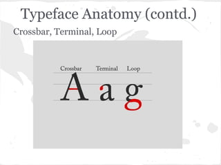 Typeface Anatomy (contd.)
Crossbar, Terminal, Loop
 