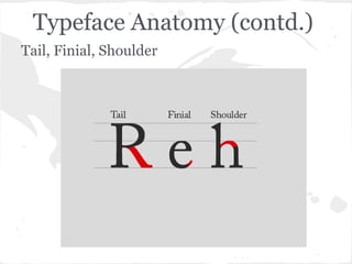 Typeface Anatomy (contd.)
Tail, Finial, Shoulder
 