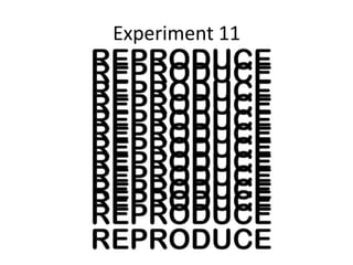 Experiment 11
 