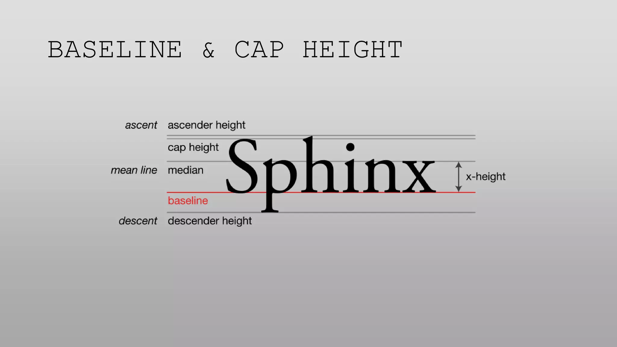 BASELINE & CAP HEIGHT
 