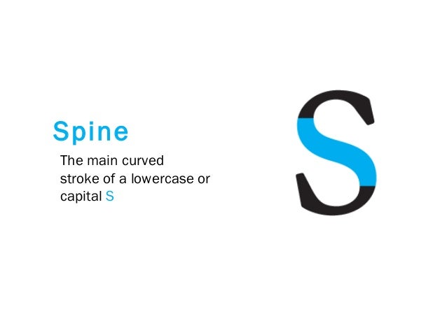 The main curved
stroke of a lowercase or
capital S
Spine