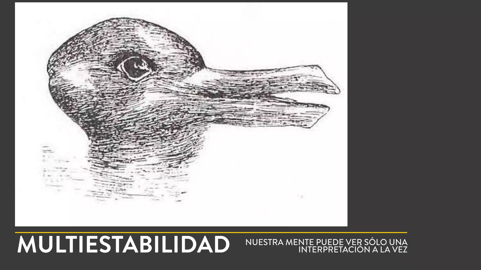 MULTIESTABILIDAD NUESTRA MENTE PUEDE VER SÓLO UNA
INTERPRETACIÓN A LA VEZ
 