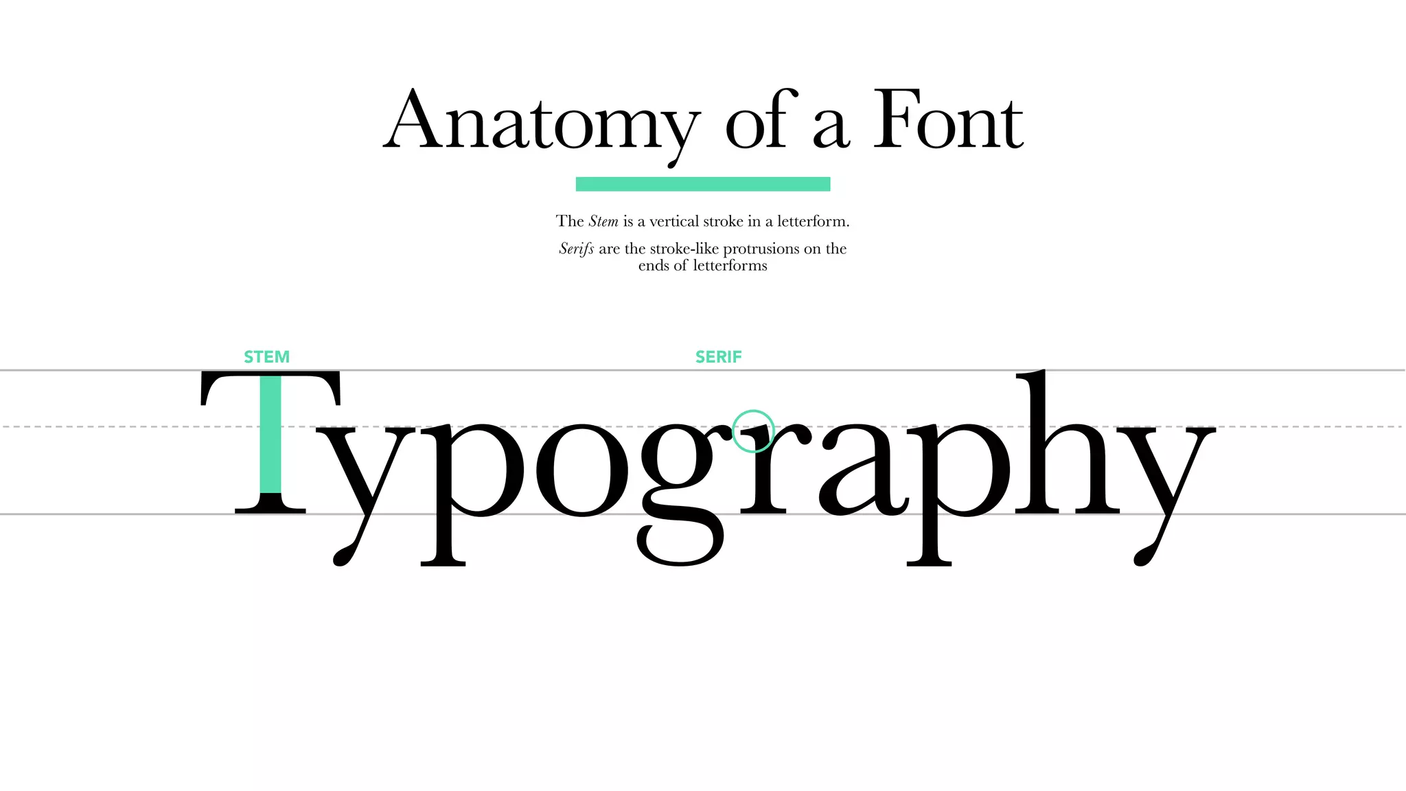 SERIFSTEM
Anatomy of a Font
The Stem is a vertical stroke in a letterform.
Serifs are the stroke-like protrusions on the
ends of letterforms
 