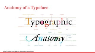 Font Components Typography and Web Design | PPTX