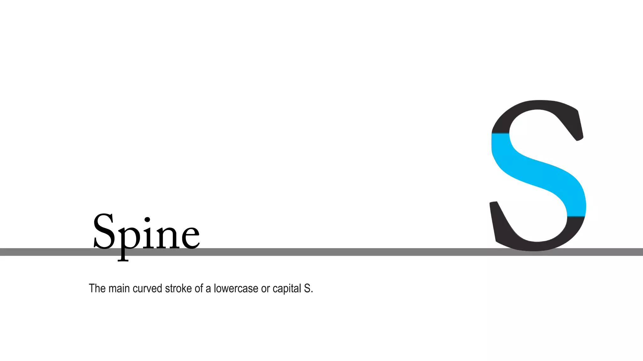 Spine
The main curved stroke of a lowercase or capital S.
 