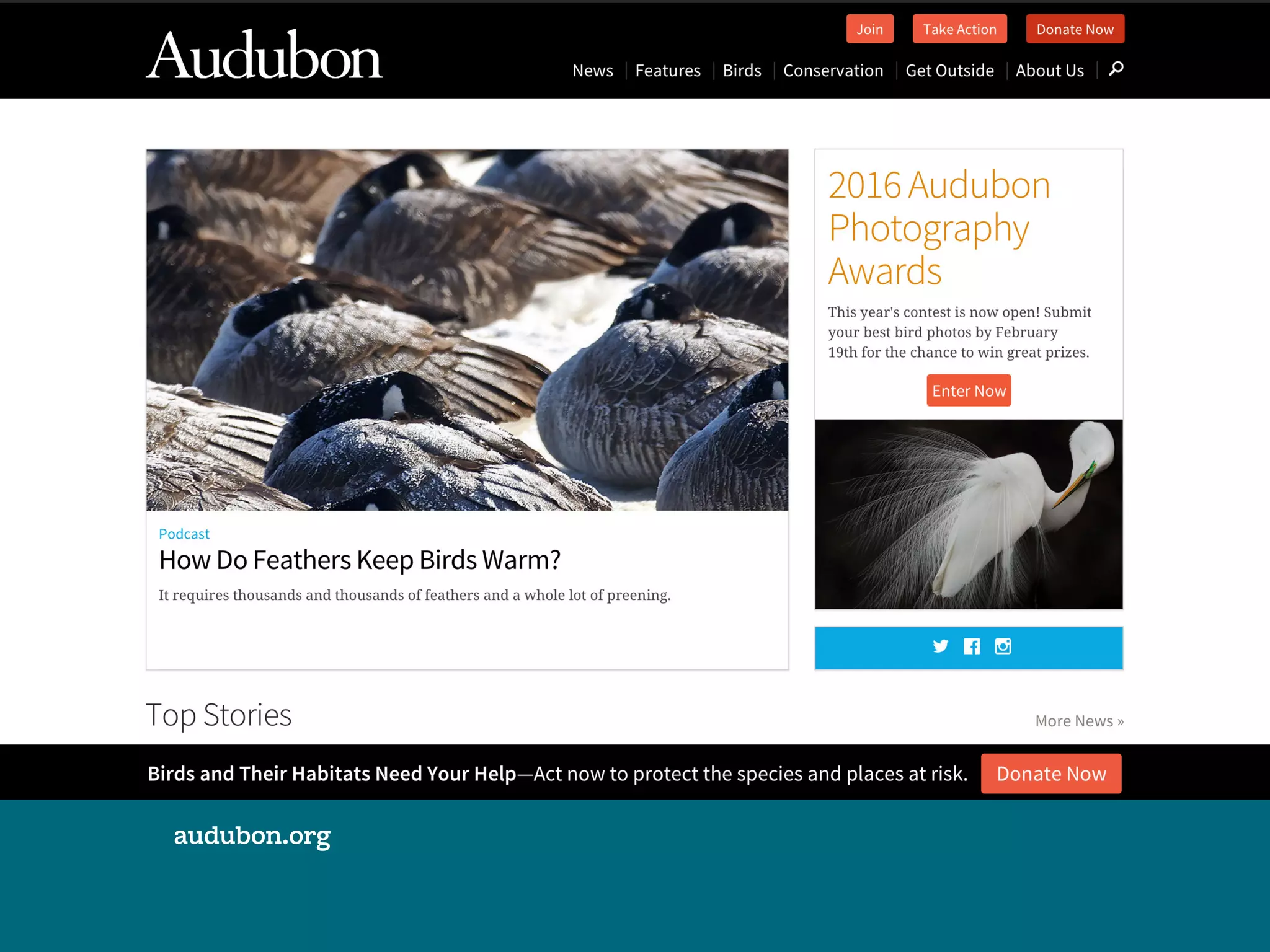 audubon.org
 