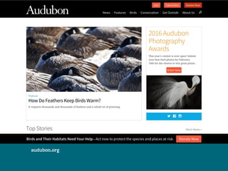 audubon.org
 