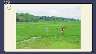 Typologies of Community.pdf