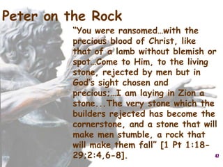 47
Peter on the Rock
“You were ransomed…with the
precious blood of Christ, like
that of a lamb without blemish or
spot…Come to Him, to the living
stone, rejected by men but in
God’s sight chosen and
precious;…I am laying in Zion a
stone...The very stone which the
builders rejected has become the
cornerstone, and a stone that will
make men stumble, a rock that
will make them fall” [1 Pt 1:18-
29;2:4,6-8].
 
