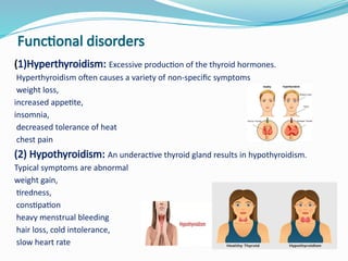 Comprehensive Overview of the Thyroid Gland: Anatomy, Hormones, and ...