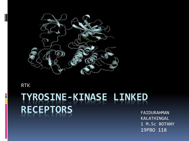 Tyrosine kinase linked receptors | PPT