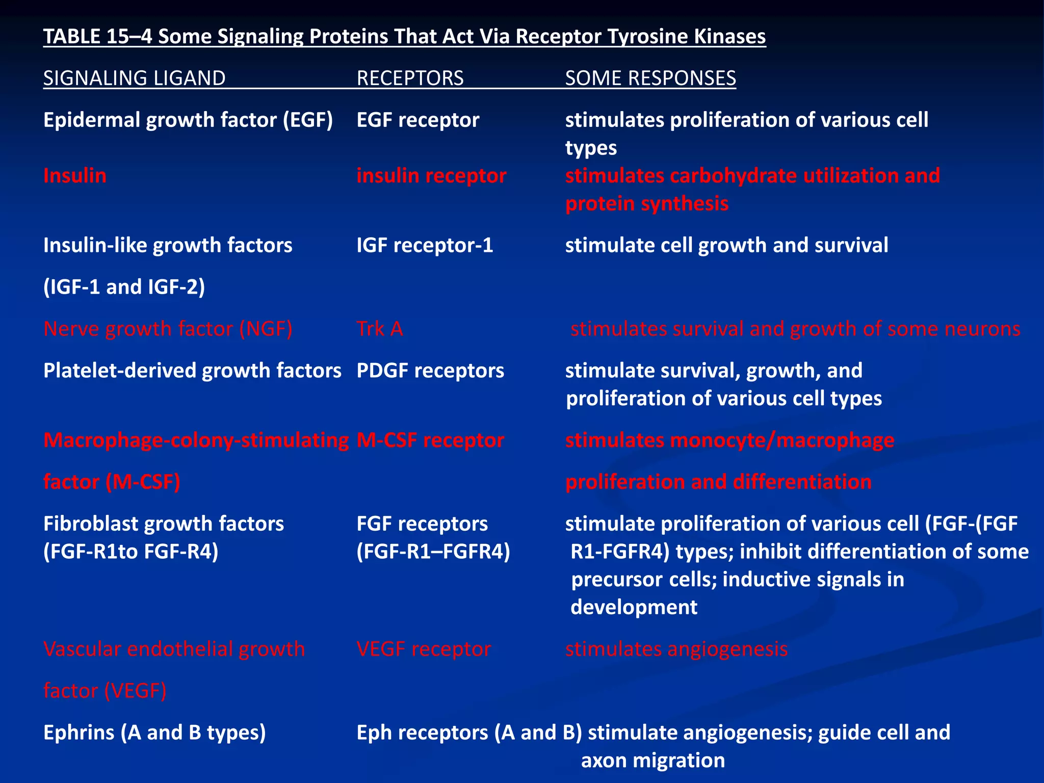 TABLE 15–4 Some Signaling Proteins That Act Via Receptor Tyrosine Kinases
SIGNALING LIGAND RECEPTORS SOME RESPONSES
Epidermal growth factor (EGF) EGF receptor stimulates proliferation of various cell
types
Insulin insulin receptor stimulates carbohydrate utilization and
protein synthesis
Insulin-like growth factors IGF receptor-1 stimulate cell growth and survival
(IGF-1 and IGF-2)
Nerve growth factor (NGF) Trk A stimulates survival and growth of some neurons
Platelet-derived growth factors PDGF receptors stimulate survival, growth, and
proliferation of various cell types
Macrophage-colony-stimulating M-CSF receptor stimulates monocyte/macrophage
factor (M-CSF) proliferation and differentiation
Fibroblast growth factors FGF receptors stimulate proliferation of various cell (FGF-(FGF
(FGF-R1to FGF-R4) (FGF-R1–FGFR4) R1-FGFR4) types; inhibit differentiation of some
precursor cells; inductive signals in
development
Vascular endothelial growth VEGF receptor stimulates angiogenesis
factor (VEGF)
Ephrins (A and B types) Eph receptors (A and B) stimulate angiogenesis; guide cell and
axon migration
 