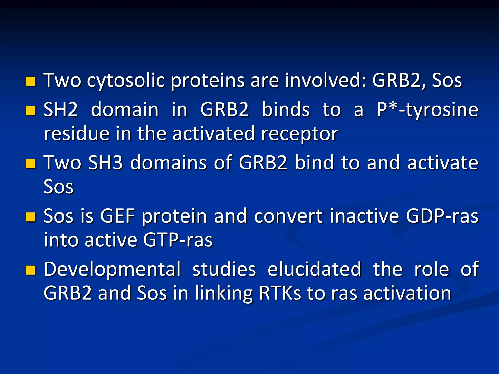  Two cytosolic proteins are involved: GRB2, Sos
 SH2 domain in GRB2 binds to a P*-tyrosine
residue in the activated receptor
 Two SH3 domains of GRB2 bind to and activate
Sos
 Sos is GEF protein and convert inactive GDP-ras
into active GTP-ras
 Developmental studies elucidated the role of
GRB2 and Sos in linking RTKs to ras activation
 
