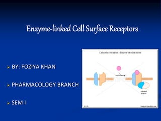 Enzyme-linked Cell Surface Receptors
 BY: FOZIYA KHAN
 PHARMACOLOGY BRANCH
 SEM I
 