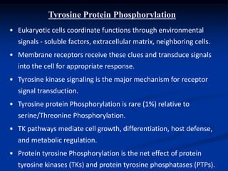 Tyrosine Protein Phosphorylation
• Eukaryotic cells coordinate functions through environmental
signals - soluble factors, extracellular matrix, neighboring cells.
• Membrane receptors receive these clues and transduce signals
into the cell for appropriate response.
• Tyrosine kinase signaling is the major mechanism for receptor
signal transduction.
• Tyrosine protein Phosphorylation is rare (1%) relative to
serine/Threonine Phosphorylation.
• TK pathways mediate cell growth, differentiation, host defense,
and metabolic regulation.
• Protein tyrosine Phosphorylation is the net effect of protein
tyrosine kinases (TKs) and protein tyrosine phosphatases (PTPs).
 