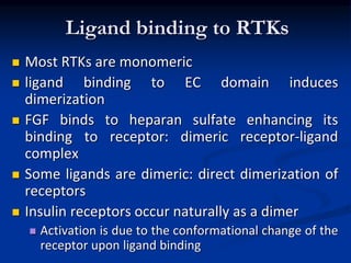 Ligand binding to RTKs
 Most RTKs are monomeric
 ligand binding to EC domain induces
dimerization
 FGF binds to heparan sulfate enhancing its
binding to receptor: dimeric receptor-ligand
complex
 Some ligands are dimeric: direct dimerization of
receptors
 Insulin receptors occur naturally as a dimer
 Activation is due to the conformational change of the
receptor upon ligand binding
 