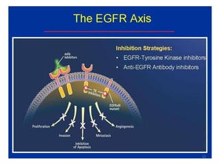 Tyrosine Kinase Inhibitors Mechanism Of Action