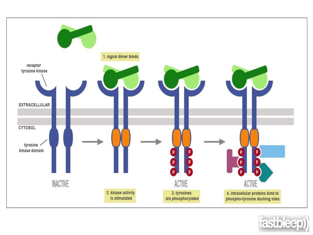 Tyrosine kinase inhibitors
