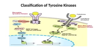 Tyrosine Kinase Inhibitors in Cancer Therapy by Dr Pooja Awasthi ...