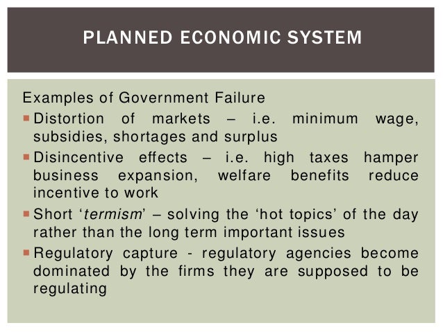 government makes economic decisions