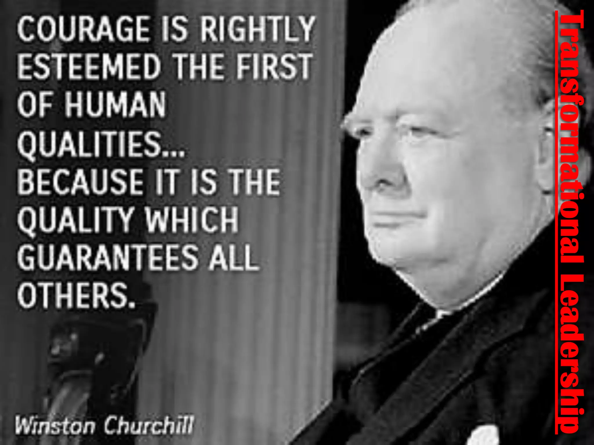 TransformationalLeadership
 