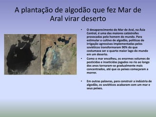 A plantação de algodão que fez Mar de
Aral virar deserto
• O desaparecimento do Mar de Aral, na Ásia
Central, é uma das maiores catástrofes
provocadas pelo homem do mundo. Para
estimular o cultivo de algodão, políticas de
irrigação agressivas implementadas pelos
soviéticos transformaram 90% do que
costumava ser o quarto maior lago do mundo
em um deserto.
• Como o mar encolheu, os enormes volumes de
pesticidas e inseticidas jogados no rio ao longo
dos anos tornaram-se gradualmente mais
concentrados, até que os peixes começaram a
morrer.
• Em outras palavras, para construir a indústria de
algodão, os soviéticos acabaram com um mar e
seus peixes.
 