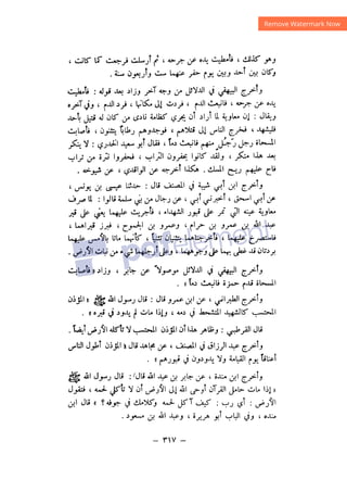 شرح الصدور بمعرفة حال الموتي والقبور الجزء الثاني للسيوطي