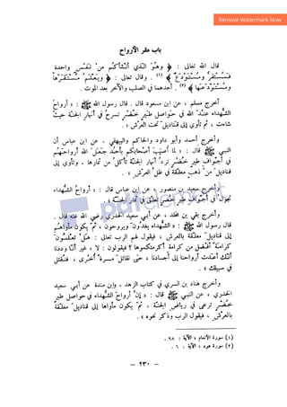 شرح الصدور بمعرفة حال الموتي والقبور الجزء الثاني للسيوطي