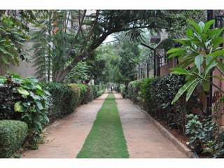 TZed waste management