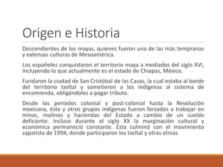 Origen e Historia
Descendientes de los mayas, quienes fueron una de las más tempranas
y extensas culturas de Mesoamérica.
...