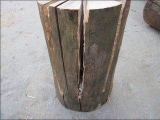 Tűzhelyrakás - Hogyan süssünk