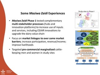 Tanzania Smallholder Dairy Value Chain Research for Development: Proposal for Maziwa Zaidi Phase 2