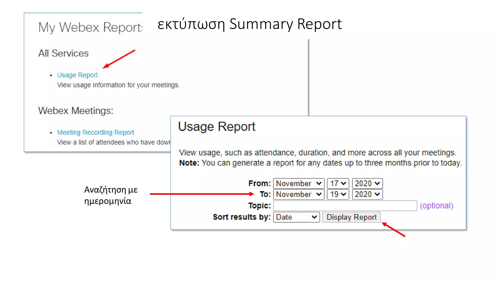 Αναζήτηση με
ημερομηνία
εκτύπωση Summary Report
 
