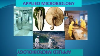 APPLIED MICROBIOLOGY
 
