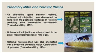 Scope of Genetic Engineered Microbes and Parasitoids in Biological ...