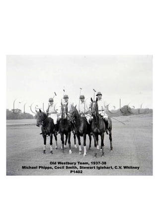 U.s.polo presentation