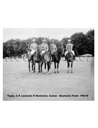 U.s.polo presentation