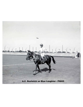 U.s.polo presentation