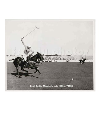 U.s.polo presentation