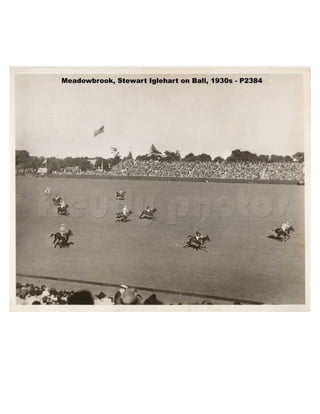 U.s.polo presentation