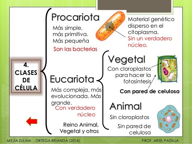 U. autónoma unidad de aprendizajela célula